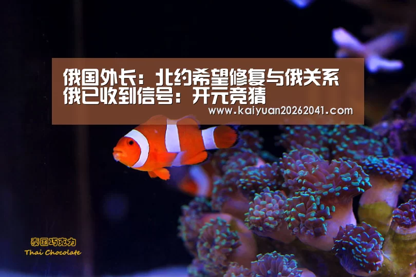 俄国外长:北约希望修复与俄关系 俄已收到信号:开元竞猜(图1) 开元百家乐