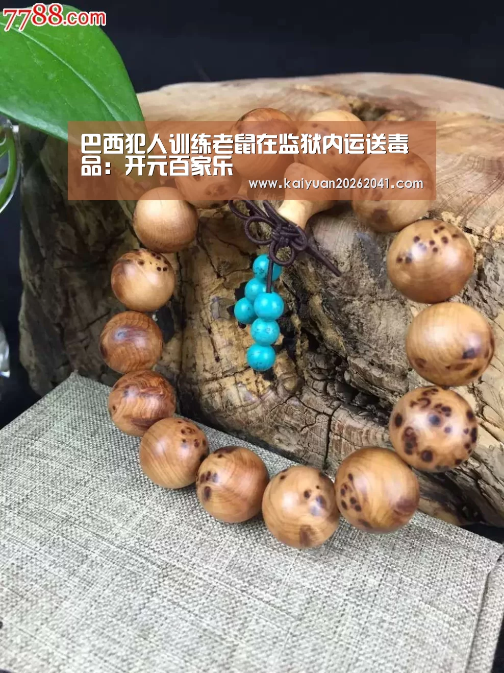 巴西犯人训练老鼠在监狱内运送毒品:开元百家乐(图3) 开元电竞