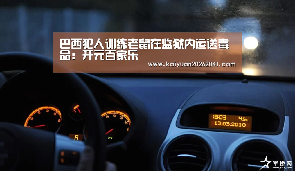 巴西犯人训练老鼠在监狱内运送毒品:开元百家乐(图2) 开元电竞