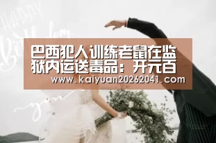 巴西犯人训练老鼠在监狱内运送毒品:开元百家乐(图1) 开元电竞