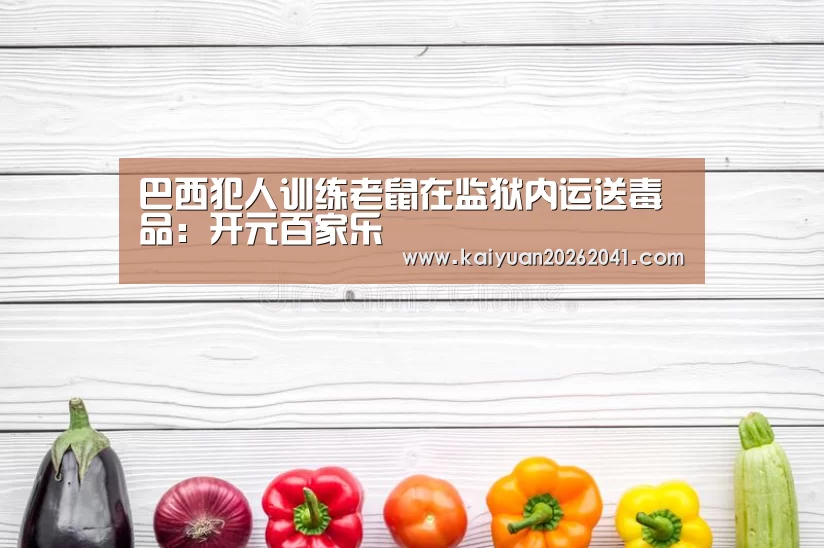 巴西犯人训练老鼠在监狱内运送毒品:开元百家乐(图4) 开元百家乐